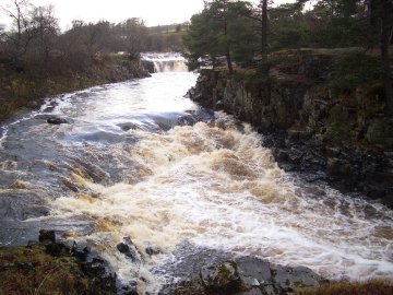 Low Force